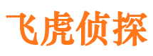 尼木找人公司